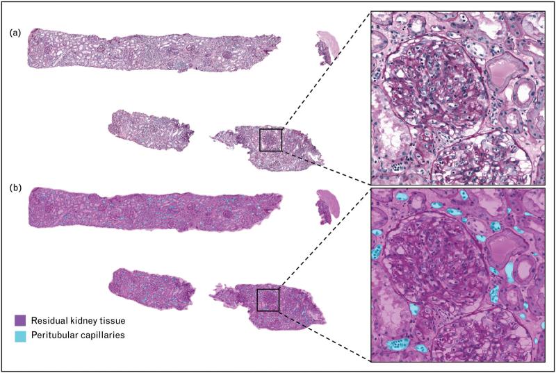 https://cdn.ncbi.nlm.nih.gov/pmc/blobs/43c7/12052063/2f882438f53c/cootr-30-201-g004.jpg