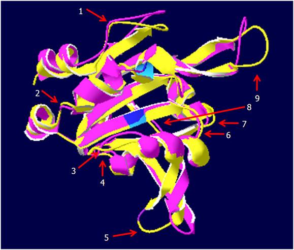 https://cdn.ncbi.nlm.nih.gov/pmc/blobs/43c7/3095285/0e613a8d79b1/1471-2229-10-133-13.jpg