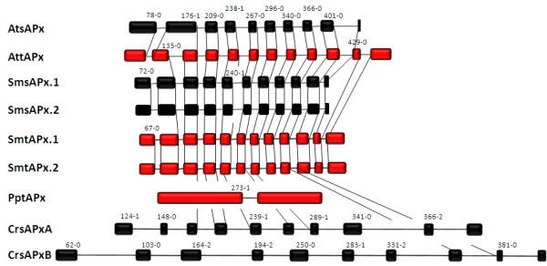 https://cdn.ncbi.nlm.nih.gov/pmc/blobs/43c7/3095285/b92234b4ac71/1471-2229-10-133-2.jpg