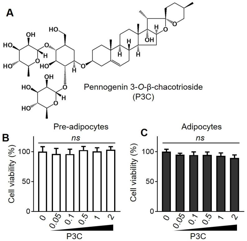 https://cdn.ncbi.nlm.nih.gov/pmc/blobs/43c8/10931814/02d1016fa1d6/ijms-25-02970-g001.jpg