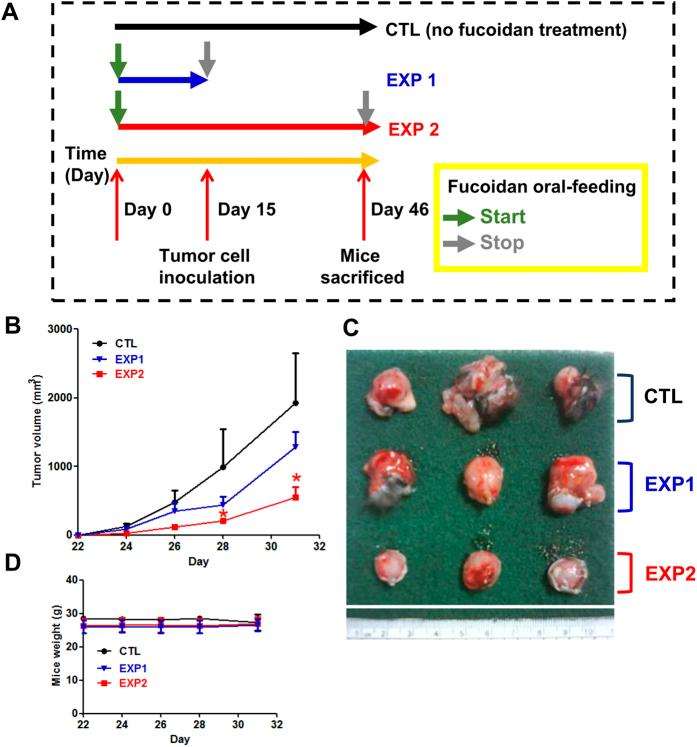 https://cdn.ncbi.nlm.nih.gov/pmc/blobs/43c8/5362958/4a106136ae15/srep44990-f1.jpg