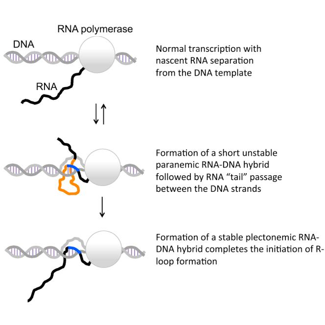 https://cdn.ncbi.nlm.nih.gov/pmc/blobs/43c8/9515371/c9220cd76706/fx1.jpg