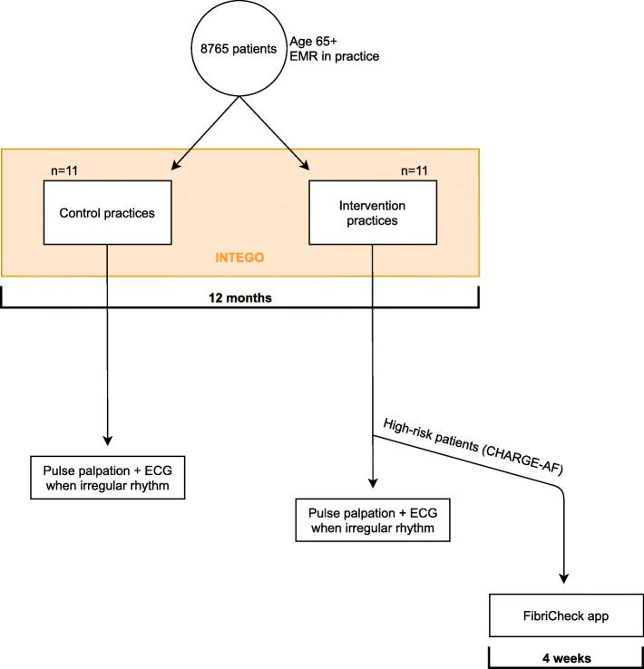 https://cdn.ncbi.nlm.nih.gov/pmc/blobs/43c9/8351454/769e00eb5c9a/13063_2021_5497_Fig1_HTML.jpg