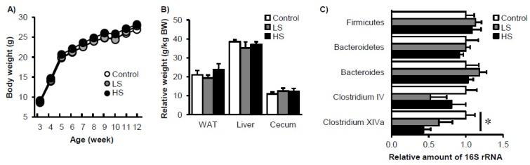 https://cdn.ncbi.nlm.nih.gov/pmc/blobs/43cd/5490539/e4751ed84b22/nutrients-09-00560-g001.jpg