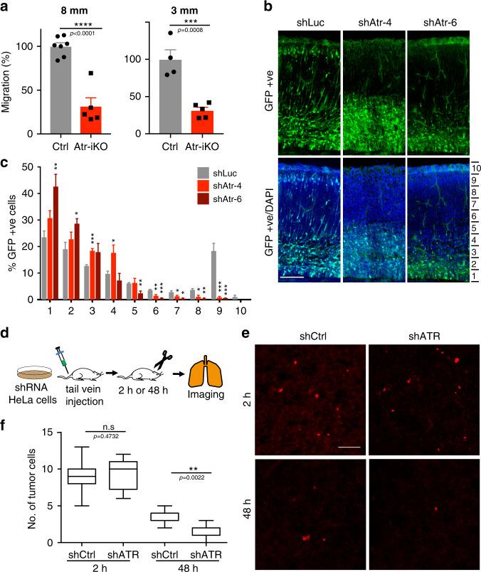 https://cdn.ncbi.nlm.nih.gov/pmc/blobs/43cd/7518249/4e87ba6a8e0d/41467_2020_18580_Fig5_HTML.jpg