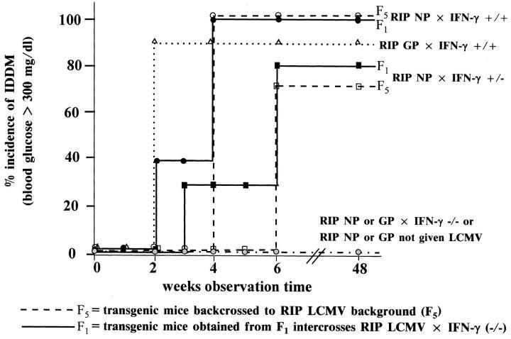 https://cdn.ncbi.nlm.nih.gov/pmc/blobs/43cf/2196037/d159ad028c9b/JEM.vonherrath1.jpg