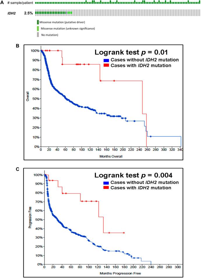 https://cdn.ncbi.nlm.nih.gov/pmc/blobs/43cf/8915566/6569244463d3/bjbs-79-10208-g002.jpg