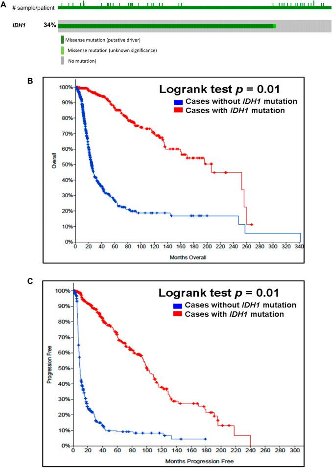 https://cdn.ncbi.nlm.nih.gov/pmc/blobs/43cf/8915566/7e2b3eca23b6/bjbs-79-10208-g001.jpg
