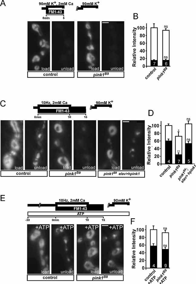 https://cdn.ncbi.nlm.nih.gov/pmc/blobs/43d0/3378121/3e1df61fdf10/emmm0001-0099-f2.jpg