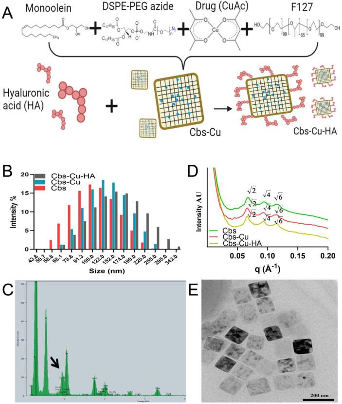 https://cdn.ncbi.nlm.nih.gov/pmc/blobs/43d0/9727730/0ccf611be740/mp2c00439_0001.jpg
