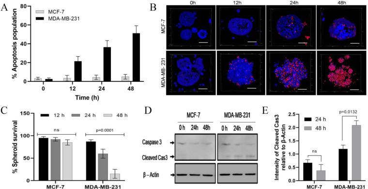 https://cdn.ncbi.nlm.nih.gov/pmc/blobs/43d0/9727730/4b75ea0c5cea/mp2c00439_0004.jpg