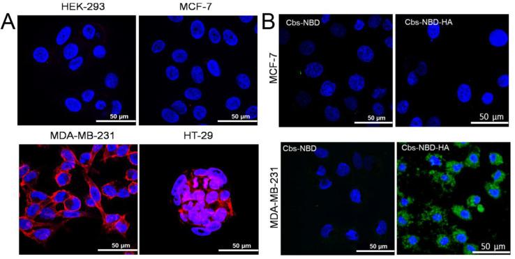 https://cdn.ncbi.nlm.nih.gov/pmc/blobs/43d0/9727730/ff4e02d750c4/mp2c00439_0002.jpg