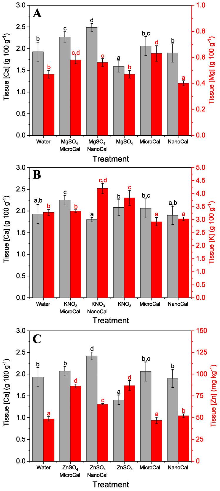 https://cdn.ncbi.nlm.nih.gov/pmc/blobs/43d2/10780703/74046d0a708a/plants-13-00071-g002.jpg