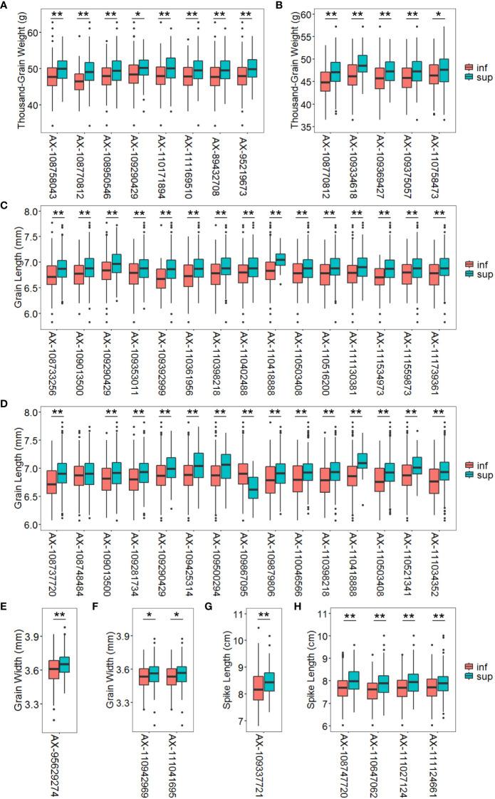 https://cdn.ncbi.nlm.nih.gov/pmc/blobs/43d2/9846334/db358b7ca7d8/fpls-13-1098560-g006.jpg