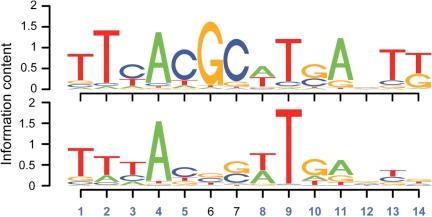 https://cdn.ncbi.nlm.nih.gov/pmc/blobs/43d5/2995082/1976b1a30df2/gkq683f3.jpg