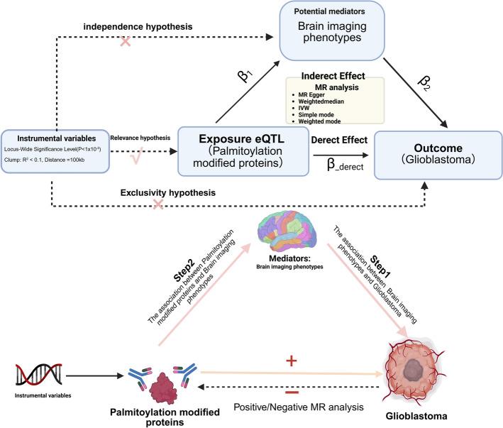 https://cdn.ncbi.nlm.nih.gov/pmc/blobs/43d6/12334383/74038baac84b/12672_2025_3369_Fig1_HTML.jpg