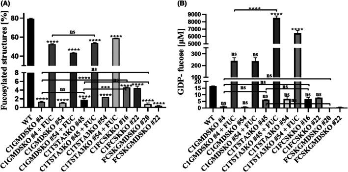 https://cdn.ncbi.nlm.nih.gov/pmc/blobs/43d9/12319708/d37afdaf9b3d/FEB4-15-1336-g003.jpg
