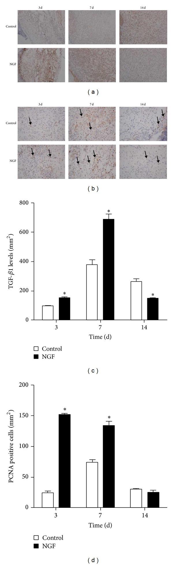 https://cdn.ncbi.nlm.nih.gov/pmc/blobs/43d9/4055427/4f737567e8f3/BMRI2014-547187.003.jpg