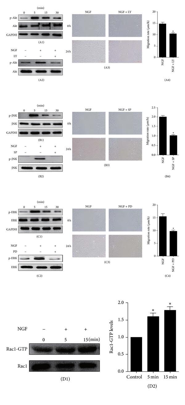 https://cdn.ncbi.nlm.nih.gov/pmc/blobs/43d9/4055427/beafe572af89/BMRI2014-547187.006.jpg