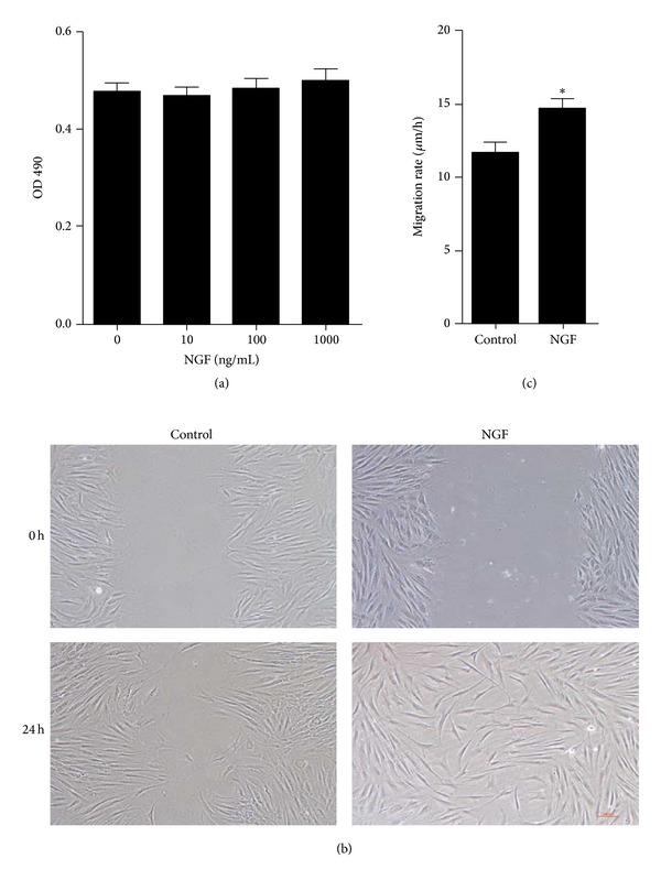 https://cdn.ncbi.nlm.nih.gov/pmc/blobs/43d9/4055427/f70bbbbc3b24/BMRI2014-547187.005.jpg