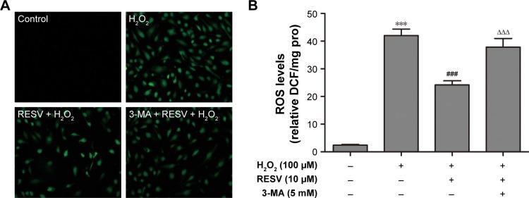 https://cdn.ncbi.nlm.nih.gov/pmc/blobs/43d9/6391141/e1604d2fbadf/dddt-13-747Fig3.jpg