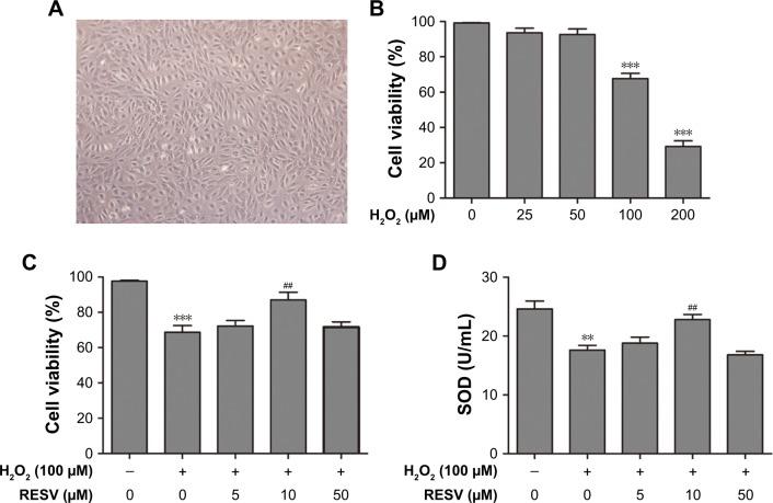https://cdn.ncbi.nlm.nih.gov/pmc/blobs/43d9/6391141/e7693cace43b/dddt-13-747Fig1.jpg