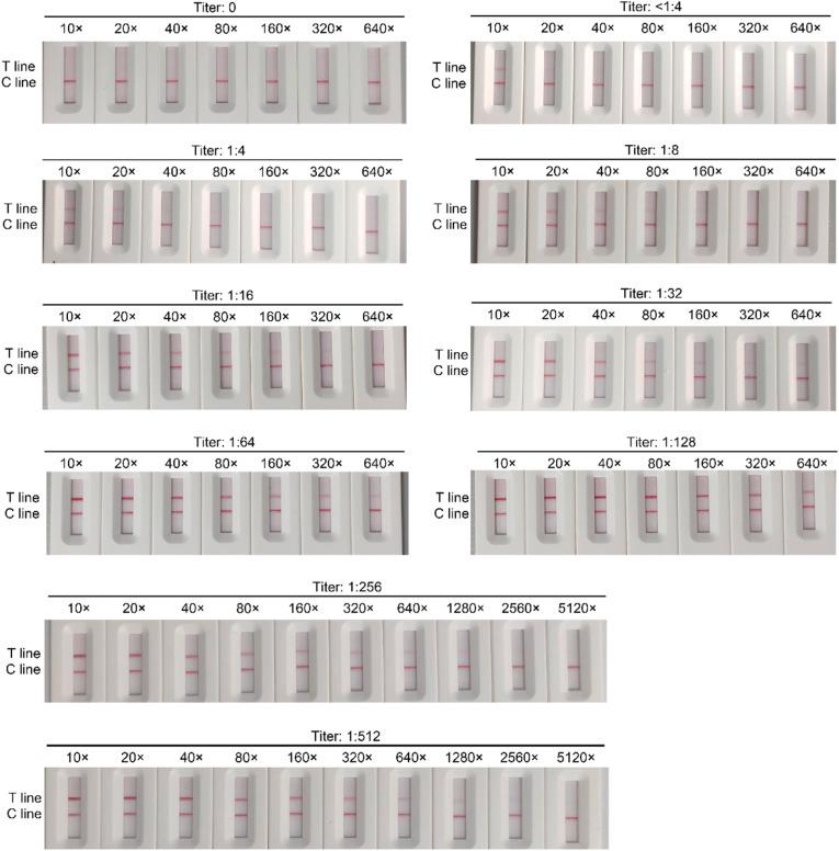 https://cdn.ncbi.nlm.nih.gov/pmc/blobs/43d9/9767659/cd10c7638455/gr4_lrg.jpg
