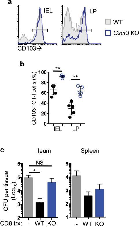 https://cdn.ncbi.nlm.nih.gov/pmc/blobs/43da/4368475/8f65c3230548/nihms-658094-f0008.jpg