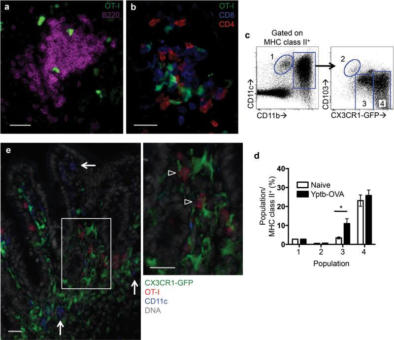 https://cdn.ncbi.nlm.nih.gov/pmc/blobs/43da/4368475/9ddd90b988e1/nihms-658094-f0005.jpg