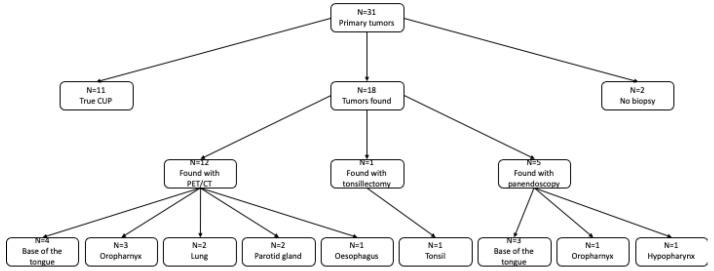 https://cdn.ncbi.nlm.nih.gov/pmc/blobs/43db/9495705/4db9290152dc/biomedicines-10-02095-g001.jpg
