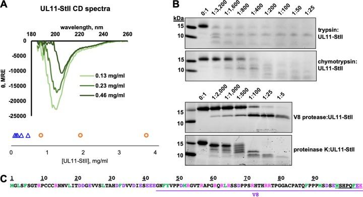 https://cdn.ncbi.nlm.nih.gov/pmc/blobs/43dc/7403781/ce09c58f61ee/mBio.00810-20-f0006.jpg