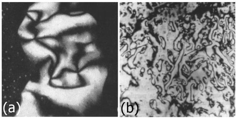 https://cdn.ncbi.nlm.nih.gov/pmc/blobs/43de/5666470/61e354aa29cf/nanomaterials-07-00305-g008.jpg