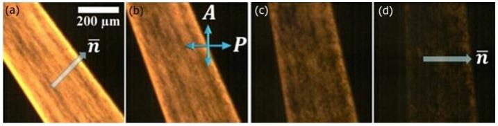 https://cdn.ncbi.nlm.nih.gov/pmc/blobs/43de/5666470/bc7d430c48e3/nanomaterials-07-00305-g018.jpg