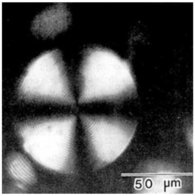 https://cdn.ncbi.nlm.nih.gov/pmc/blobs/43de/5666470/d275cd26ae9d/nanomaterials-07-00305-g010.jpg
