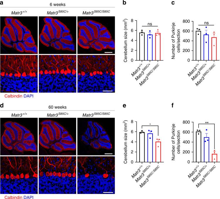 https://cdn.ncbi.nlm.nih.gov/pmc/blobs/43de/7576598/6d24500221af/41467_2020_18949_Fig4_HTML.jpg