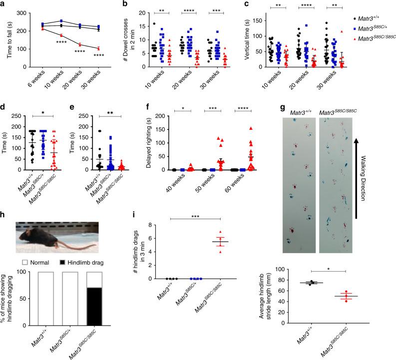 https://cdn.ncbi.nlm.nih.gov/pmc/blobs/43de/7576598/e4090149079e/41467_2020_18949_Fig3_HTML.jpg