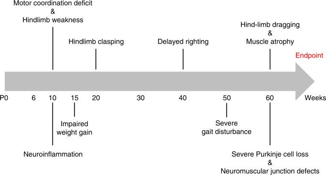 https://cdn.ncbi.nlm.nih.gov/pmc/blobs/43de/7576598/ff68e8d49176/41467_2020_18949_Fig8_HTML.jpg