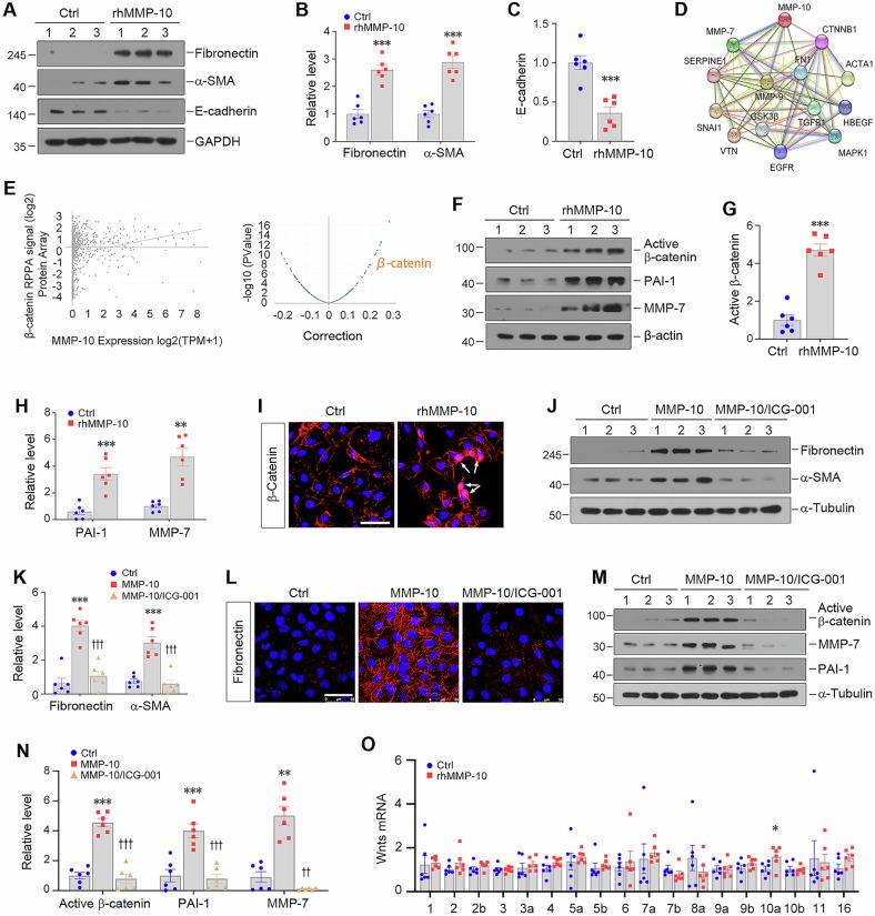 https://cdn.ncbi.nlm.nih.gov/pmc/blobs/43e0/12085647/683cfdd09088/41420_2025_2521_Fig2_HTML.jpg