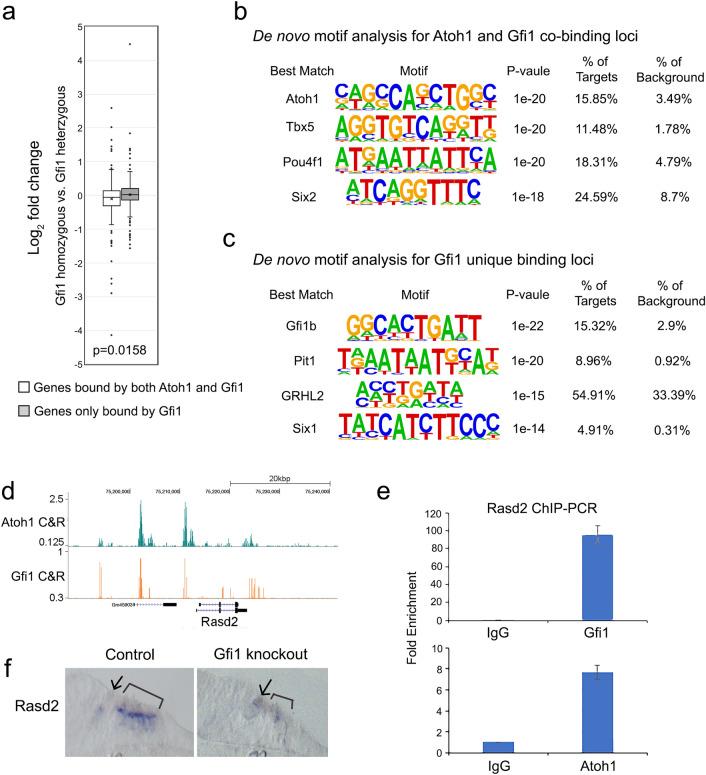 https://cdn.ncbi.nlm.nih.gov/pmc/blobs/43e0/9098437/02e171185cdd/41598_2022_11931_Fig5_HTML.jpg