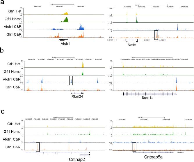 https://cdn.ncbi.nlm.nih.gov/pmc/blobs/43e0/9098437/4d096119ded3/41598_2022_11931_Fig4_HTML.jpg