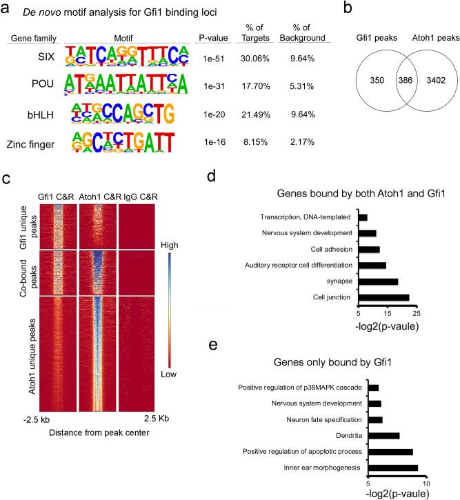 https://cdn.ncbi.nlm.nih.gov/pmc/blobs/43e0/9098437/9e74c9365010/41598_2022_11931_Fig3_HTML.jpg