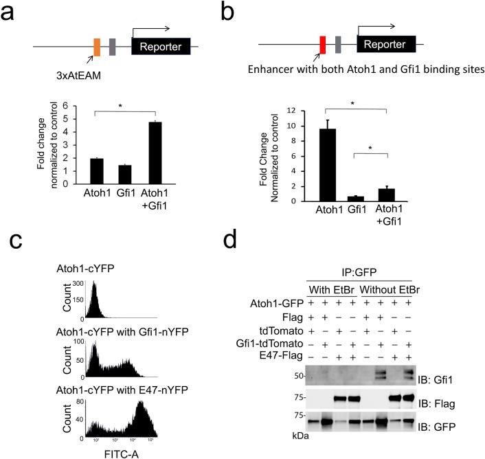 https://cdn.ncbi.nlm.nih.gov/pmc/blobs/43e0/9098437/c6ef5f04dcd0/41598_2022_11931_Fig6_HTML.jpg