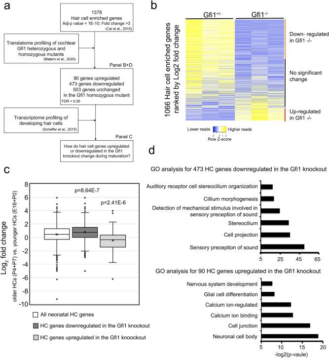 https://cdn.ncbi.nlm.nih.gov/pmc/blobs/43e0/9098437/f5b92f46181d/41598_2022_11931_Fig1_HTML.jpg