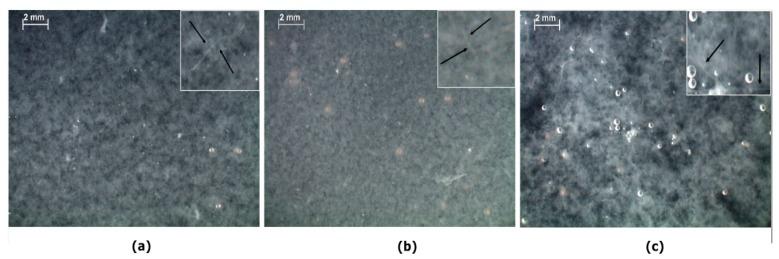 https://cdn.ncbi.nlm.nih.gov/pmc/blobs/43e5/6152308/89010b341308/molecules-22-01368-g003.jpg