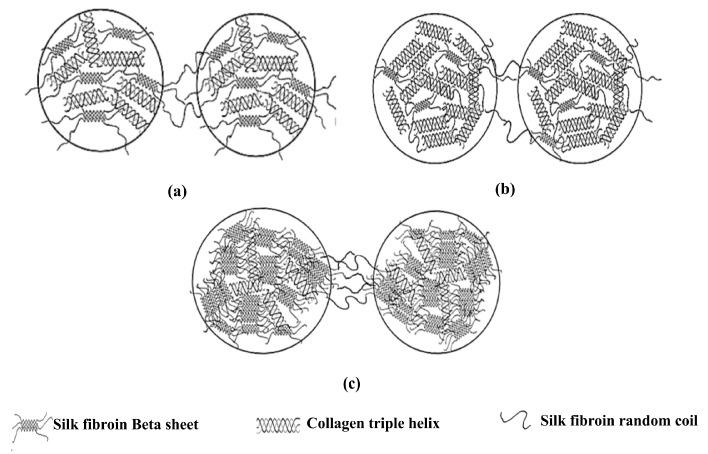 https://cdn.ncbi.nlm.nih.gov/pmc/blobs/43e5/6152308/d820eab18fb4/molecules-22-01368-g008.jpg