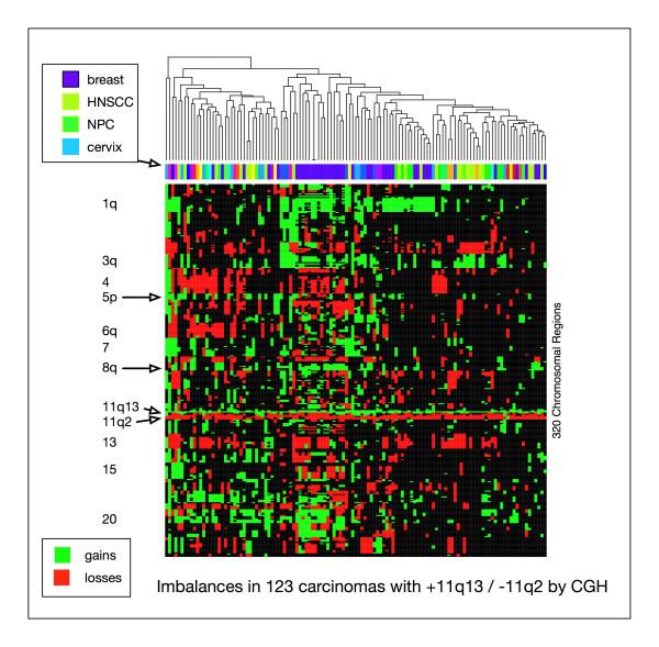 https://cdn.ncbi.nlm.nih.gov/pmc/blobs/43e6/2225423/3d730011b240/1471-2407-7-226-6.jpg