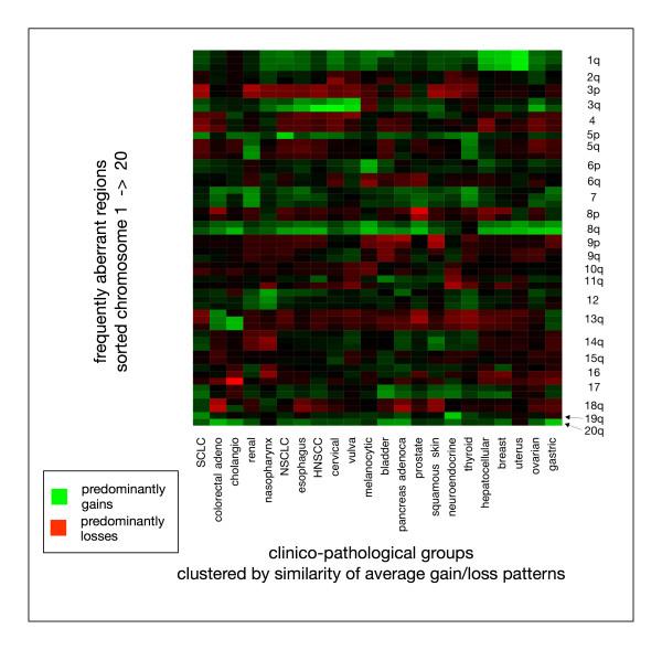 https://cdn.ncbi.nlm.nih.gov/pmc/blobs/43e6/2225423/569c2d5f1f27/1471-2407-7-226-4.jpg
