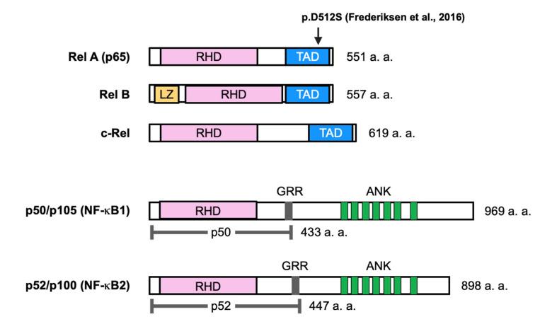 https://cdn.ncbi.nlm.nih.gov/pmc/blobs/43e8/9322175/47810eb0ce6a/ijms-23-07995-g001.jpg