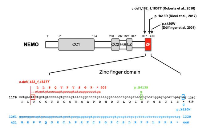 https://cdn.ncbi.nlm.nih.gov/pmc/blobs/43e8/9322175/99af3113d9a7/ijms-23-07995-g003.jpg