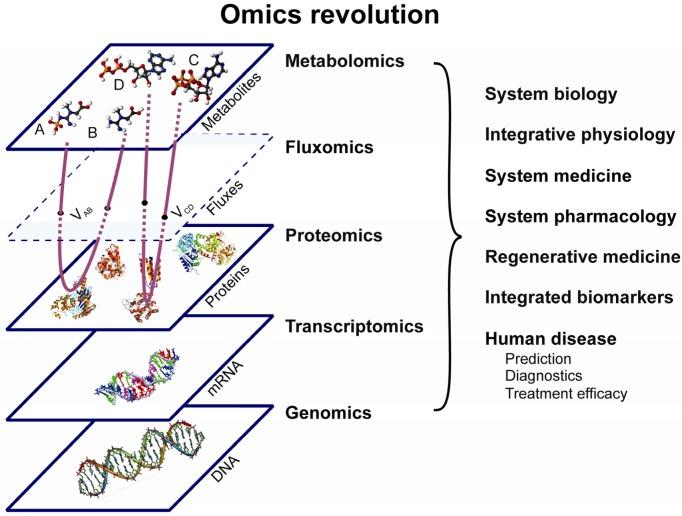 https://cdn.ncbi.nlm.nih.gov/pmc/blobs/43ea/3541579/7d5e7ac9515d/CroatMedJ_53_0529-F1.jpg